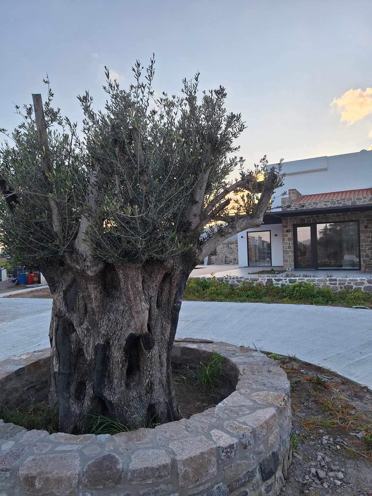 kalloni-sunset-villas4